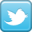 Twitter icon